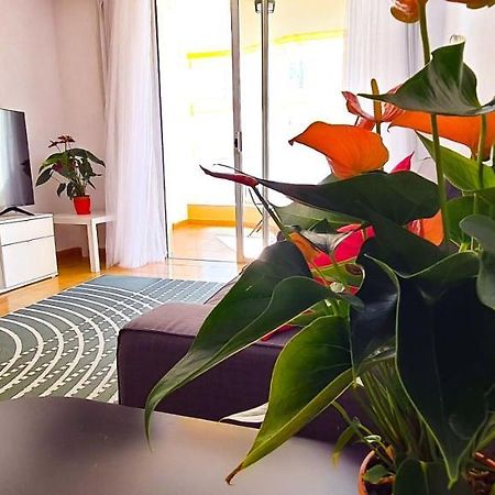 Apartamento Radazul Sea View Dış mekan fotoğraf